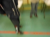 dscn5373-800