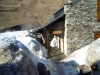 dscn2978-800